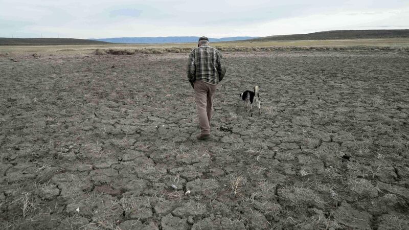 ARCHIVO - Philip Anderson camina sobre una poza seca para ganado, el 31 de marzo de 2026, en...