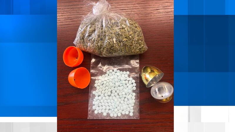 Los agentes antidrogas del condado de Colbert confiscaron lo siguiente en la búsqueda